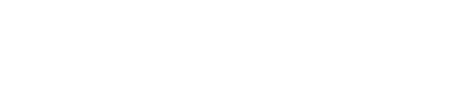 Silhouette Aesthetics